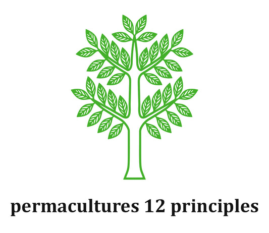 What are the 12 Permaculture Principles?