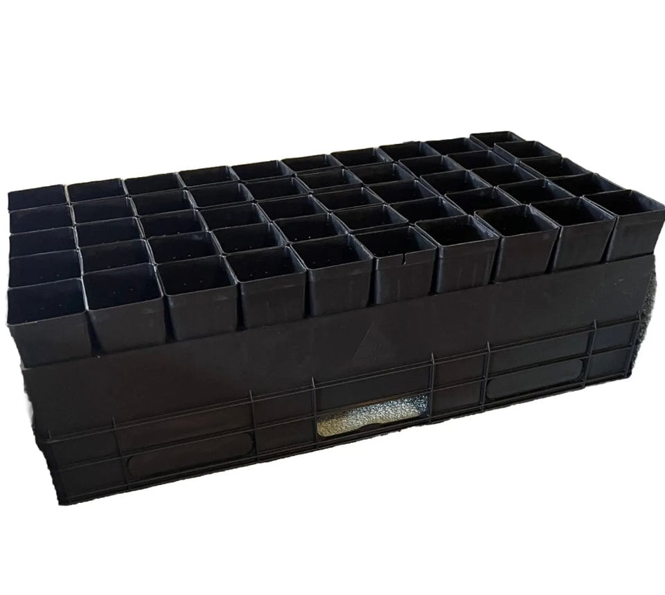 50 cell black forestry air pruning tray for sale online