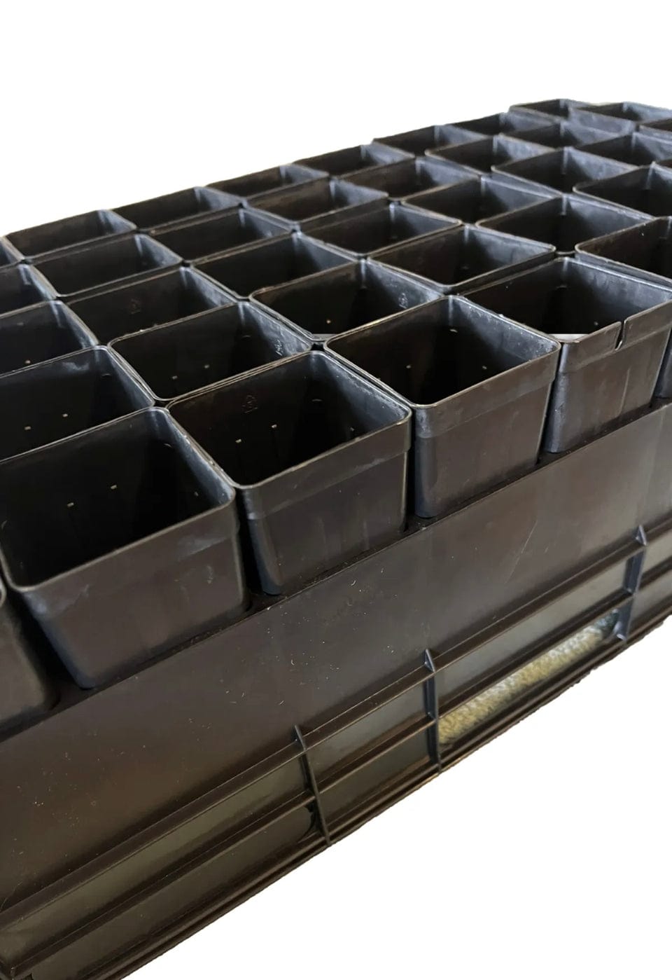 Black forestry propagation tray air pruning 