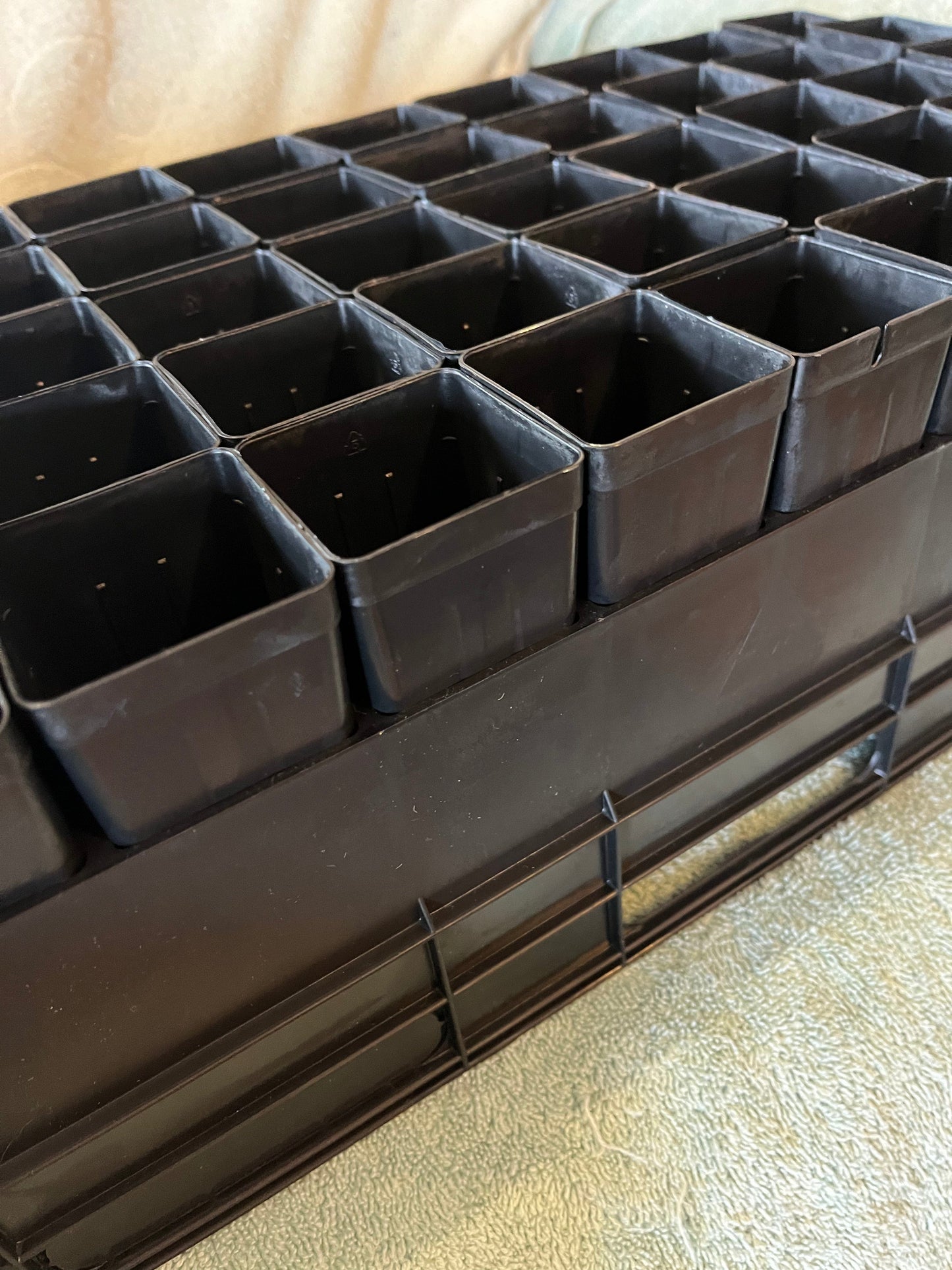 50 pot Black forestry air pruning tray