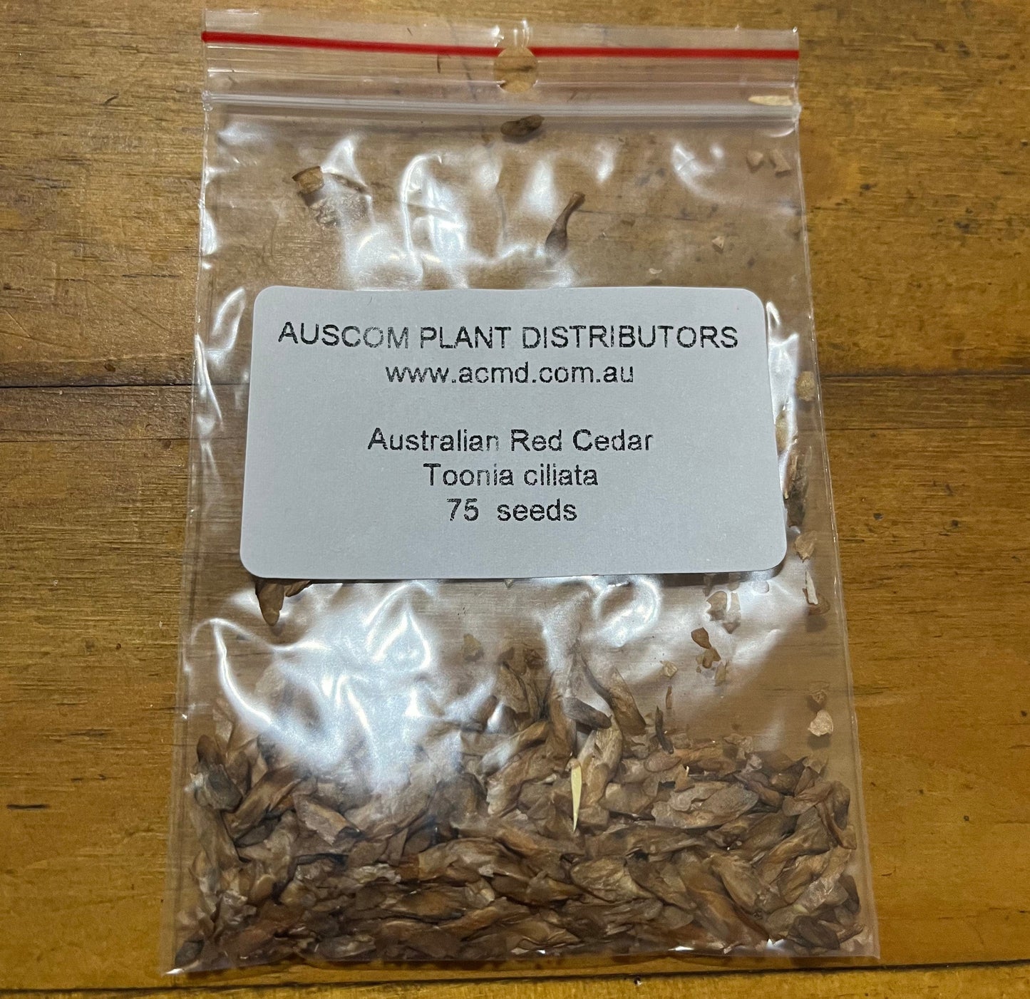 Red Cedar Tooni ciliata seeds for online qld australia