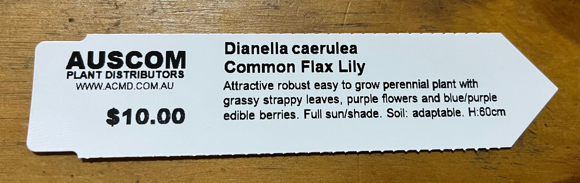 Dianella caerulea Common Flax Lily - Blue Flax Lily - Auscom Plant Distributors