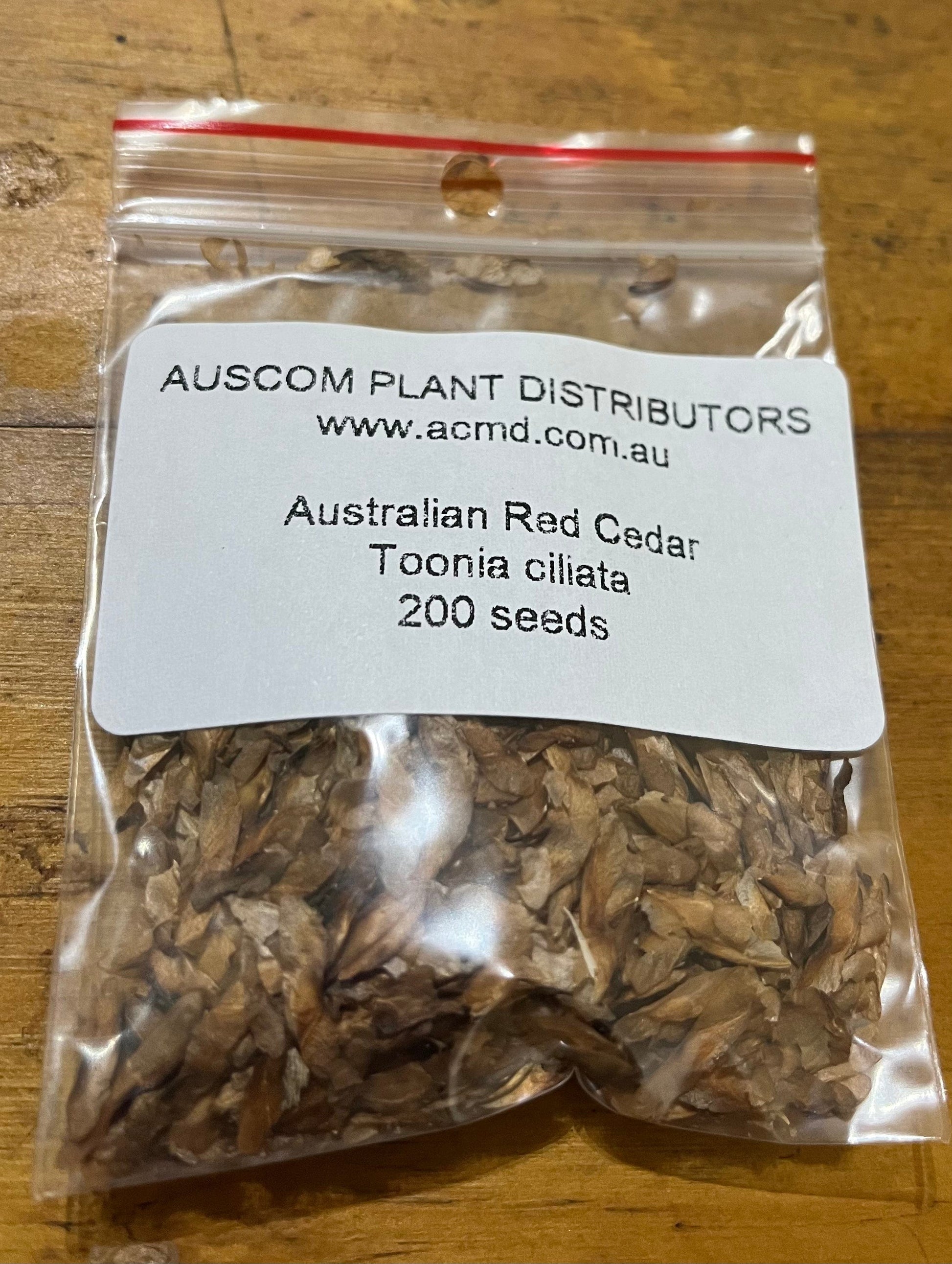 Buy Australian Red Cedar Toonia ciliata seeds online